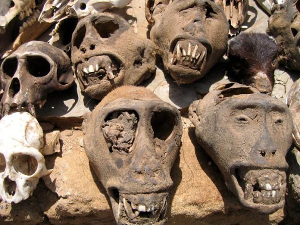 Акодессева — самый страшный рынок в мире.В представлении большинства людей, рынок – такое место, где ... - 2