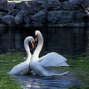 ���� ����, ����� - ��������� 26 �������� 2018 � ������ ���� ����������