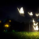 ���� �����, �����, 56 ��� - ��������� 11 �������� 2018 � ������ ������ ��������