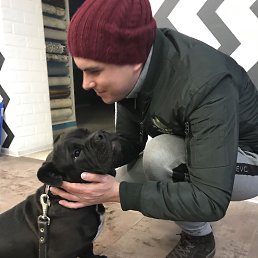 ���� ���������, ����, 37 ��� - ��������� 1 ����� 2019