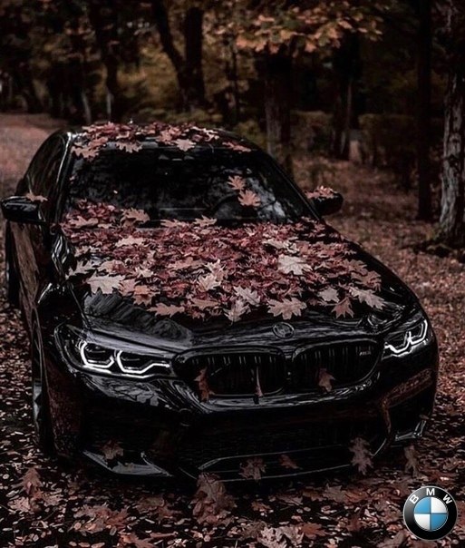 #bmw_gosu