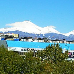 �����, ������, 42 ����