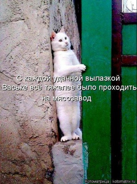    - 28  2018  17:02