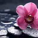 ���� �������, �����������, 47 ��� - ��������� 29 ������ 2018 � ������ ���� ����������