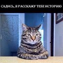 ���� ��������, ������, 55 ��� - ��������� 24 ������� 2019 � ������ ������ ��������
