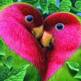 �����������, ������, 25 ���