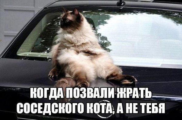    - 20  2019  17:13