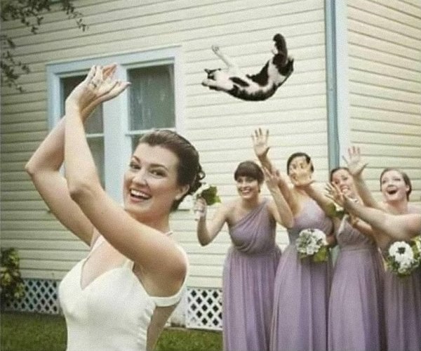     :