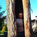 ���� ���������, ���������, 34 ���� - ��������� 22 ������ 2018 � ������ ���� ����������