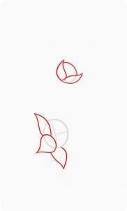 oo - 2