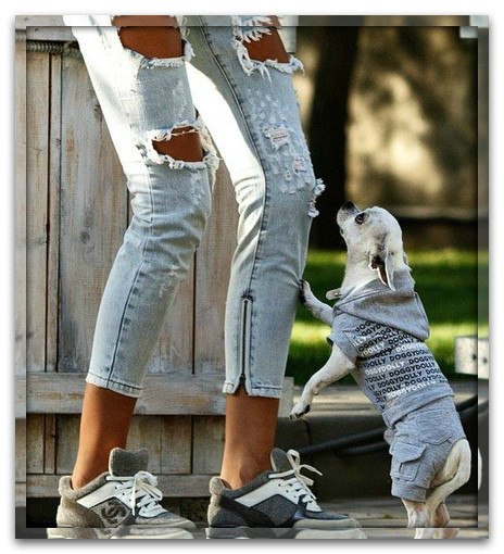   ..,   .., ______     .