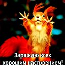 ���� �����, ������, 41 ��� - ��������� 31 ������� 2018 � ������ ������ ��������