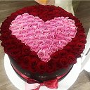 ���� ***�����***, ��������� - ��������� 6 ����� 2019 � ������ ������ ��������
