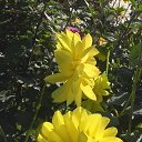 ���� Soledad, ����� - ��������� 18 �������� 2018 � ������ ���� ����������
