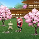 ���� �����, ������� - ��������� 24 ������� 2019 � ������ �Tropikania�