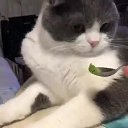 ���� Milla, ��������� - ��������� 21 �������� 2018 � ������ ���� ����������
