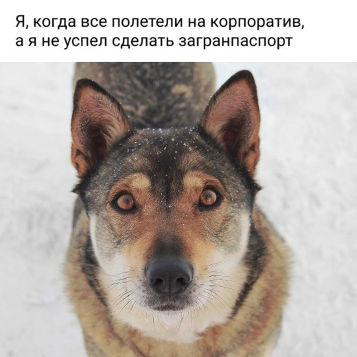   -   - 23  2019  16:57
