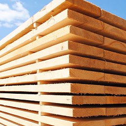 �������������, ����������, 44 ����