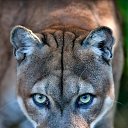 ���� �����, ���������, 59 ��� - ��������� 18 ������ 2018 � ������ ���� ����������