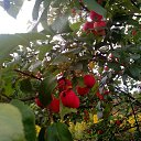 ���� ����, �����������, 54 ���� - ��������� 22 ������� 2018 � ������ ���� ����������