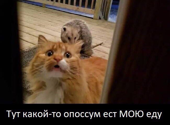 ... :) - 2