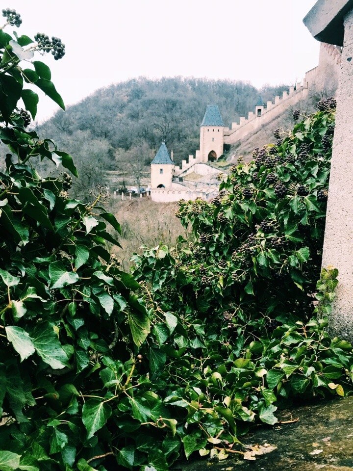 Karlstein castle, the Czech Republic. :  