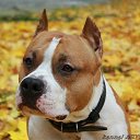 ���� ������, ������, 46 ��� - ��������� 17 ������� 2019 � ������ ���� ����������