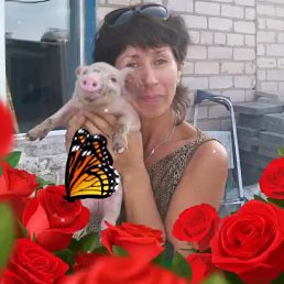 ����, ���������, 58 ���