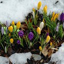 ���� ������, ��������� - ��������� 19 ����� 2019 � ������ ������ ��������