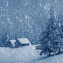  Nata Li,  -  19  2018    