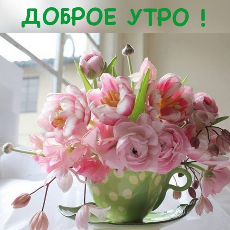   Ѩ  !!!!   ,   !
