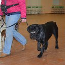  ,  , 57  -  23  2018    