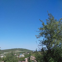 � �, ������������, 43 ����