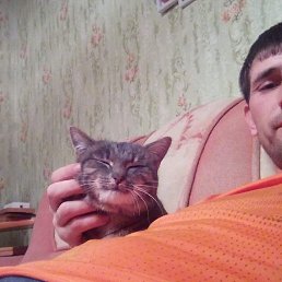 �����, ���������� �����, 40 ���