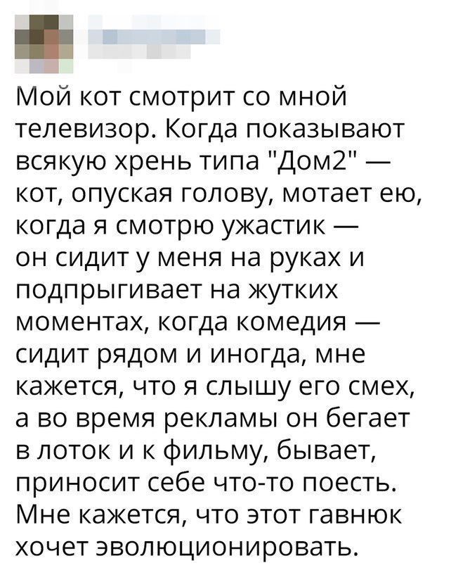  - 7  2018  16:53