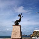 ���� �����, ������ ��������, 41 ��� - ��������� 4 �������� 2018 � ������ ���� ����������