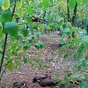 ���� ���������, ���������, 51 ��� - ��������� 1 ������ 2018 � ������ ���� ����������