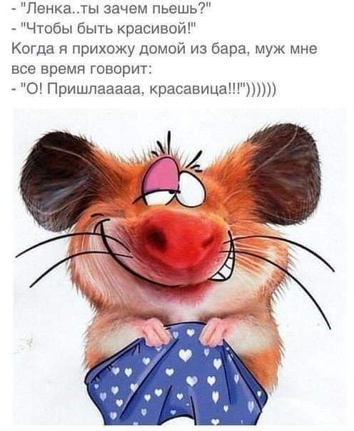  - 21  2019  14:17