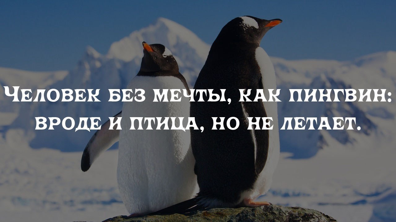 BEST | , ,  - 27  2018  16:48