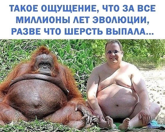   - 2  2019  19:27