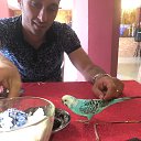 ���� Vuqar, ����������� - ��������� 31 ������� 2018 � ������ ���� ����������
