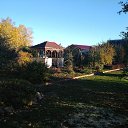 ���� Leo, ������, 76 ��� - ��������� 2 ������� 2018