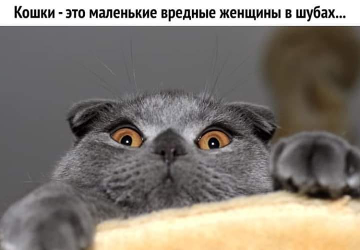   - !