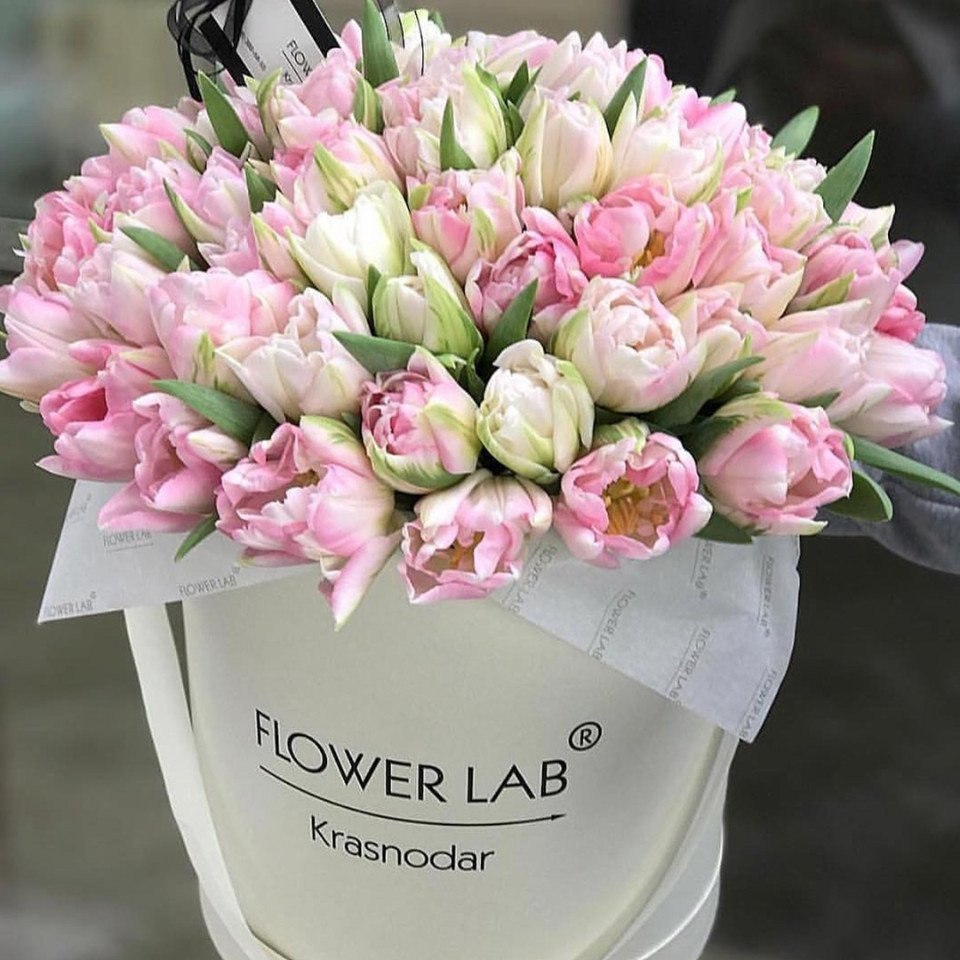  https://fotostrana.ru/away?to=/sl/39o2 labflower - 5