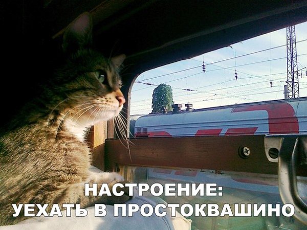 ~**~ - 14  2018  18:46