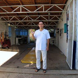 �����, ������, 38 ���