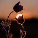 ���� �����, �����-��������� - ��������� 11 ����� 2019 � ������ ������ �����..... � ������� !!!....�