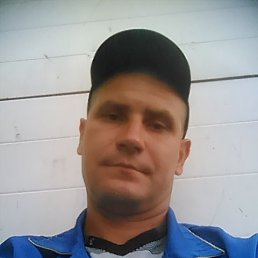 , 41, 