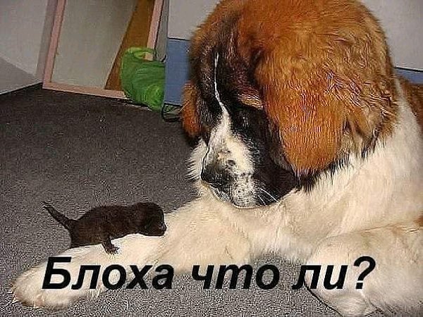   - 2  2018  15:46