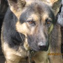 ���� ������, ���������-�������������, 59 ��� - ��������� 31 ������� 2018 � ������ ���� ����������